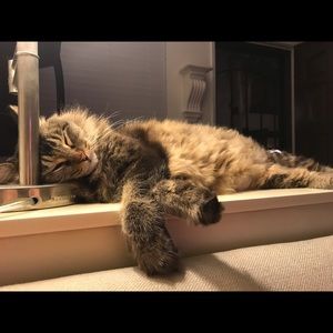 Meet your Posher, Jennifer